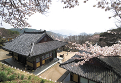 선암사