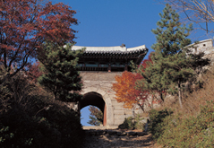 동문