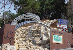 윤산 생태숲